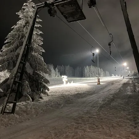 Fewo Jaeger Willingen  Exterior photo