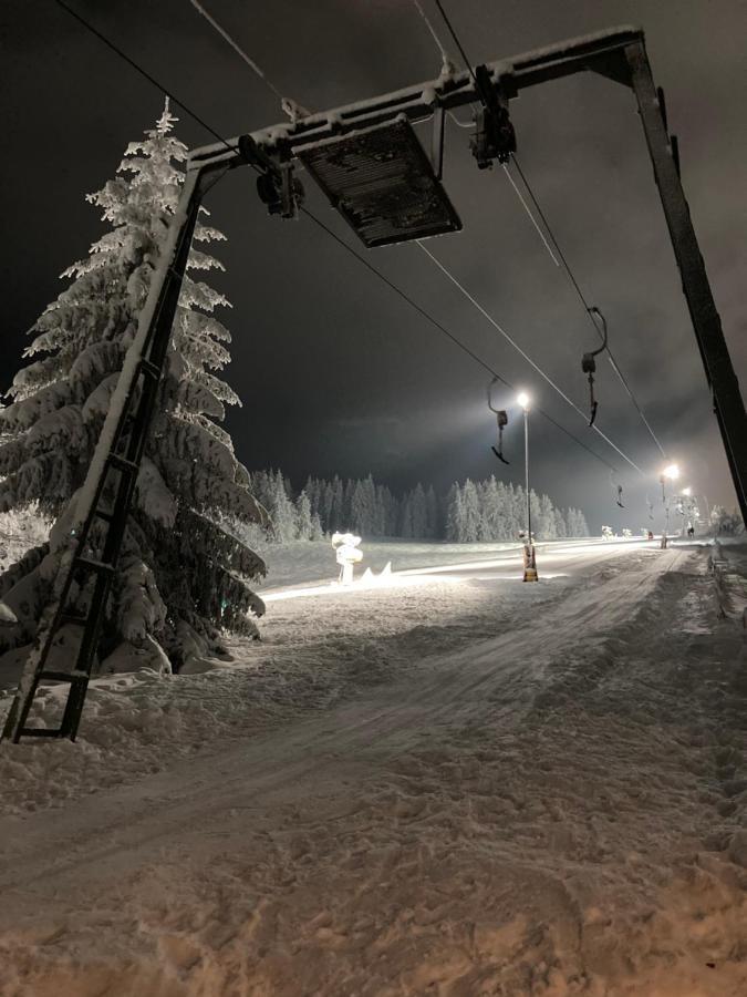 Jaeger * Willingen (Upland)